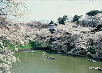 Tokyo Sightseeing