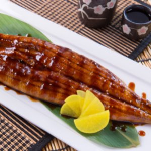 Eel Traditionally Japanese Culinary